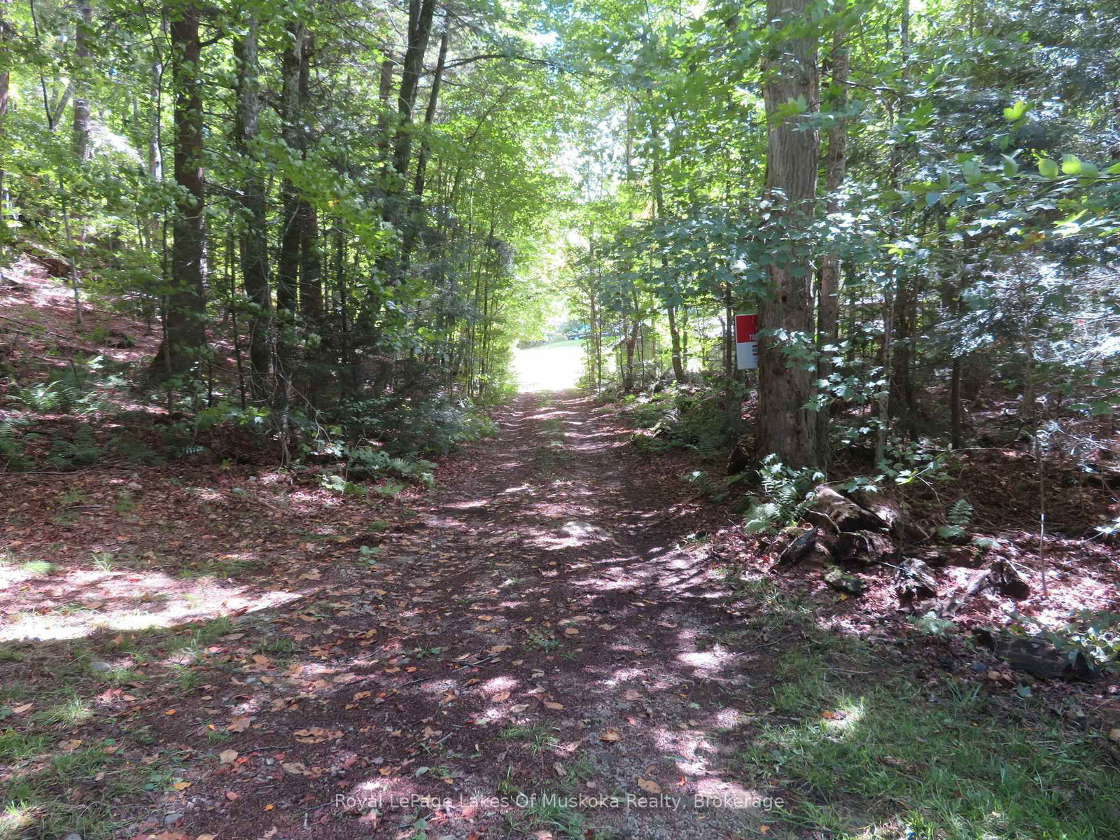 1071 Dotty Lake Road • Lake of Bays, ON photo 11
