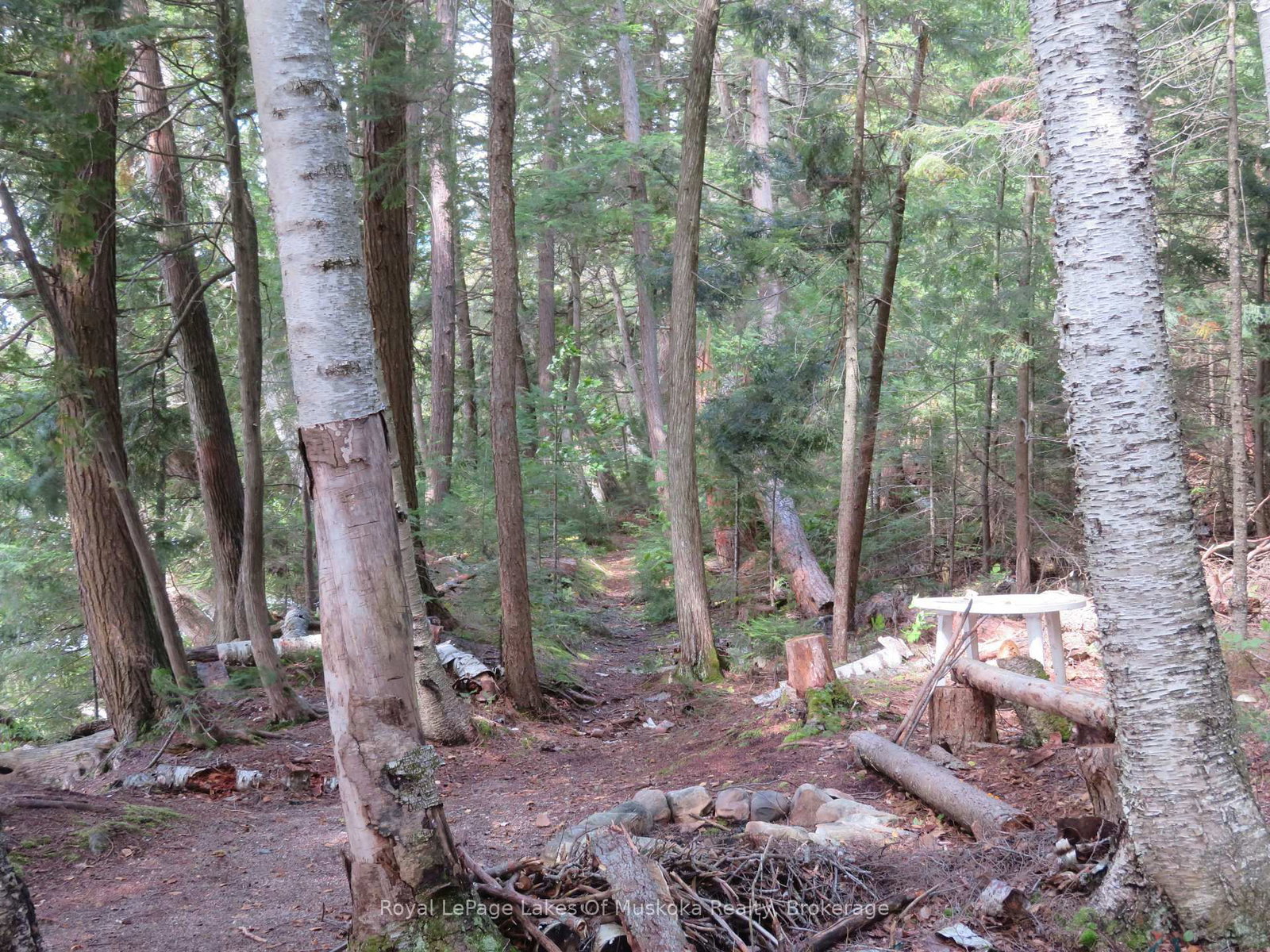 1071 Dotty Lake Road • Lake of Bays, ON photo 12