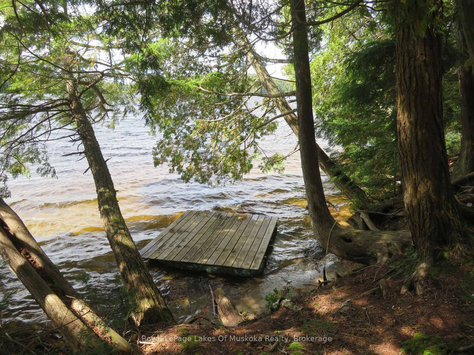 1071 Dotty Lake Road • Lake of Bays, ON photo 13