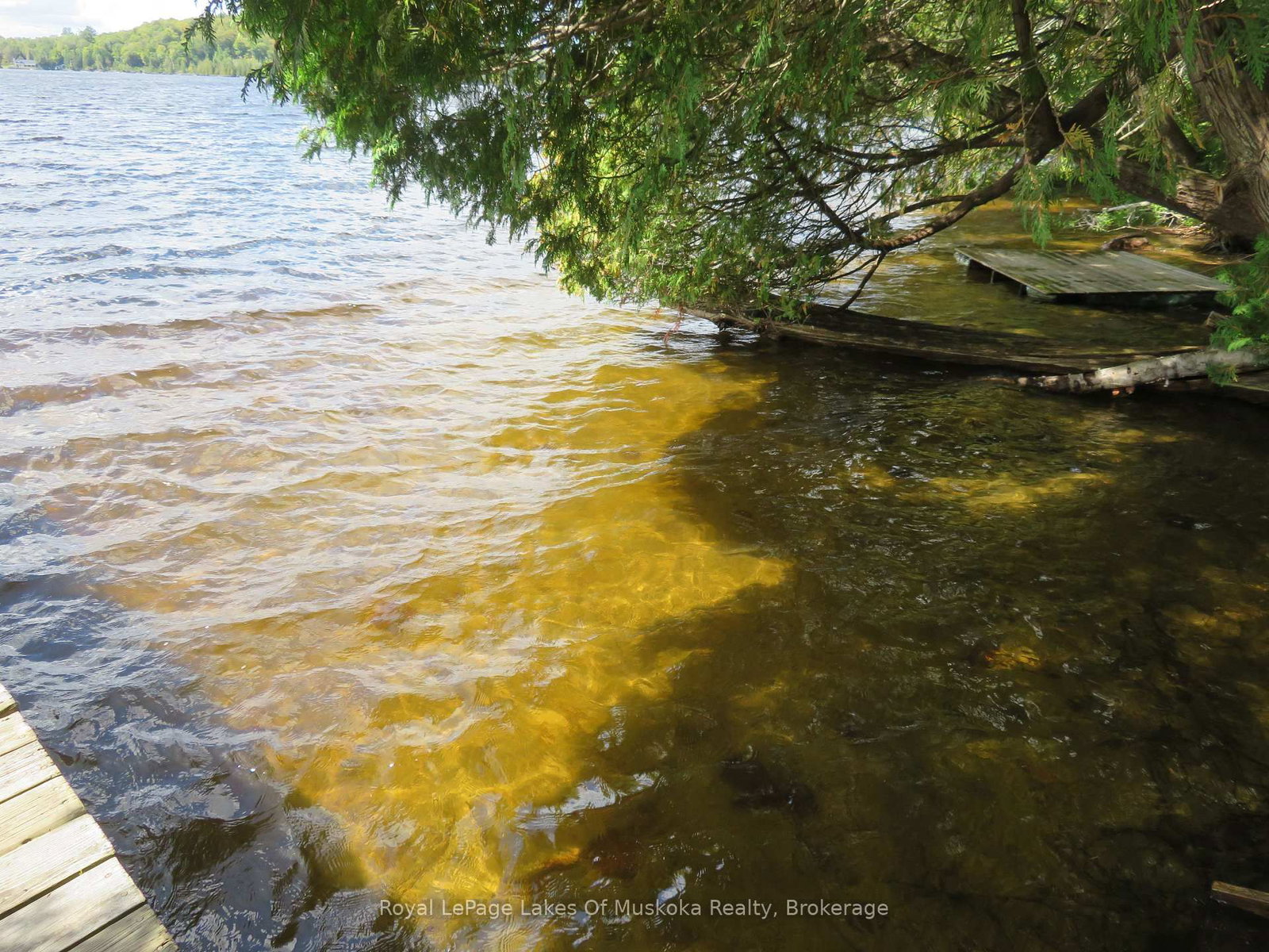 1071 Dotty Lake Road • Lake of Bays, ON photo 14