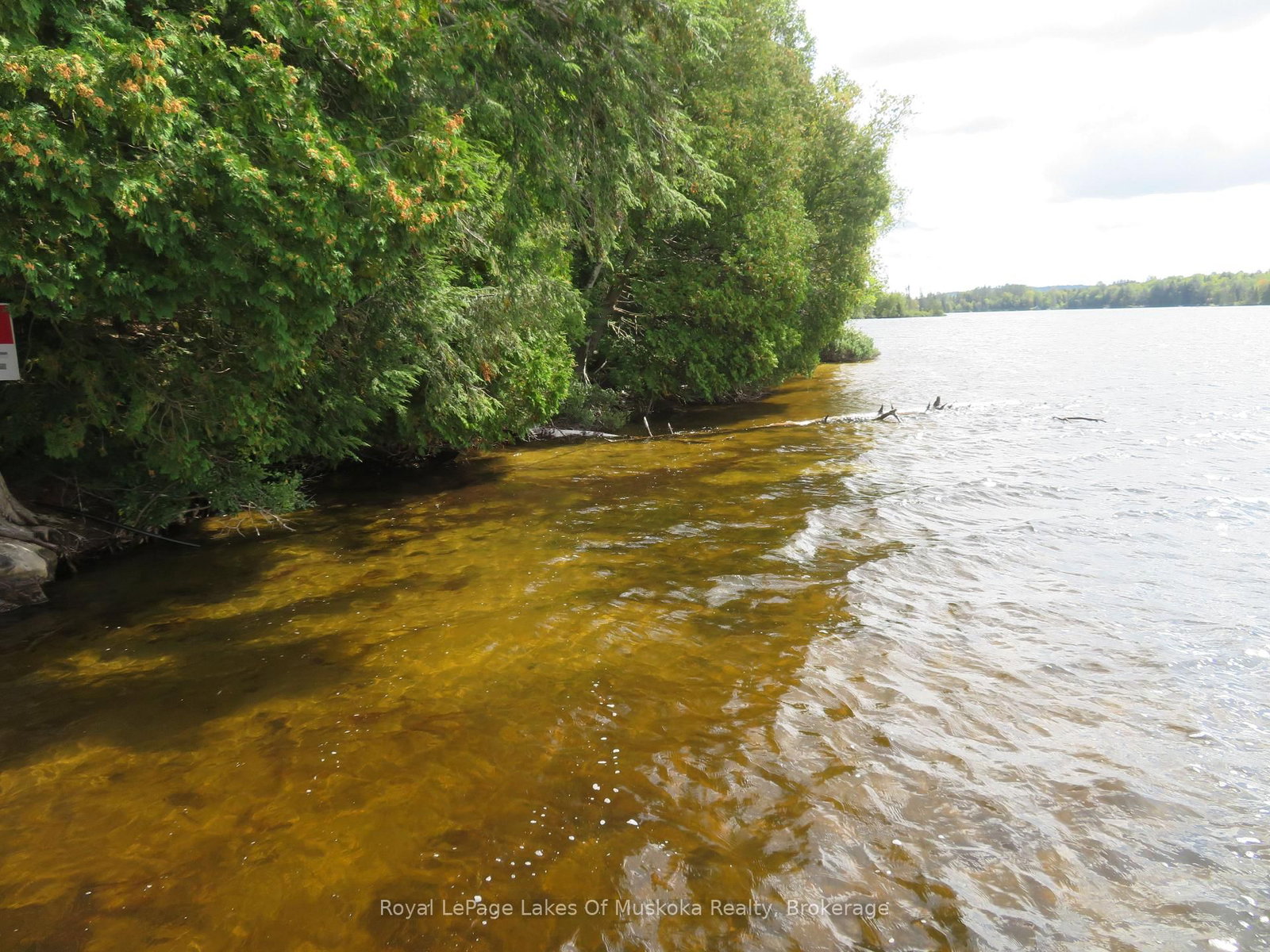 1071 Dotty Lake Road • Lake of Bays, ON photo 15
