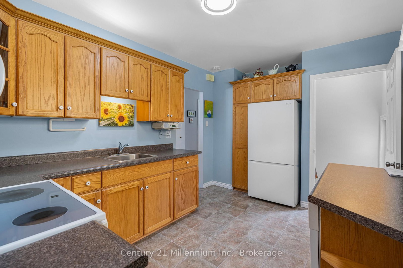 466 7th Avenue E • Owen Sound, ON photo 16