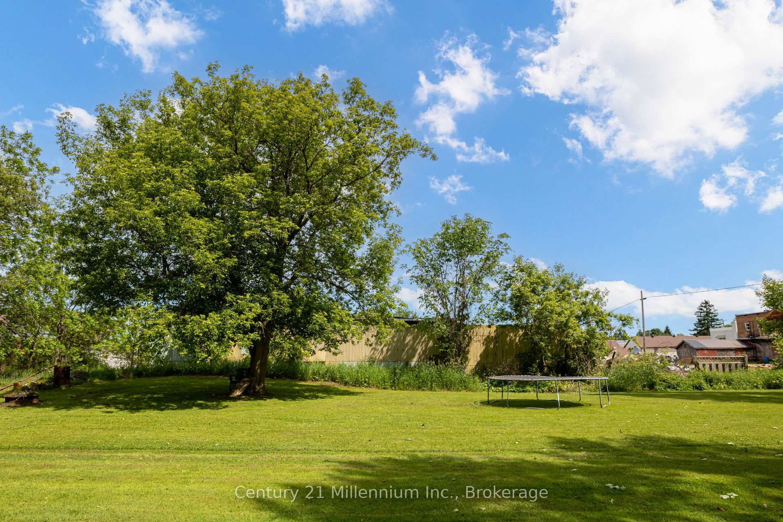 266 Garafraxa Street • Chatsworth, ON photo 37