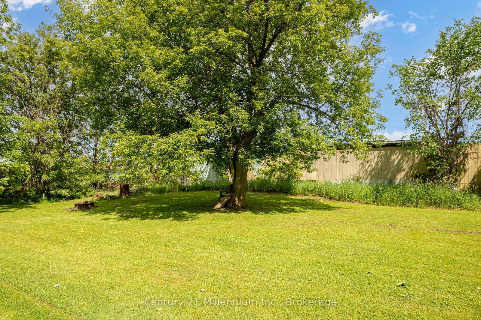 266 Garafraxa Street • Chatsworth, ON photo 5