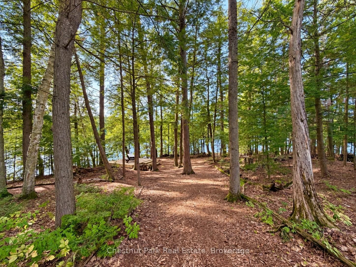 1304 Grandpa's Trail • Highlands East, ON photo 11