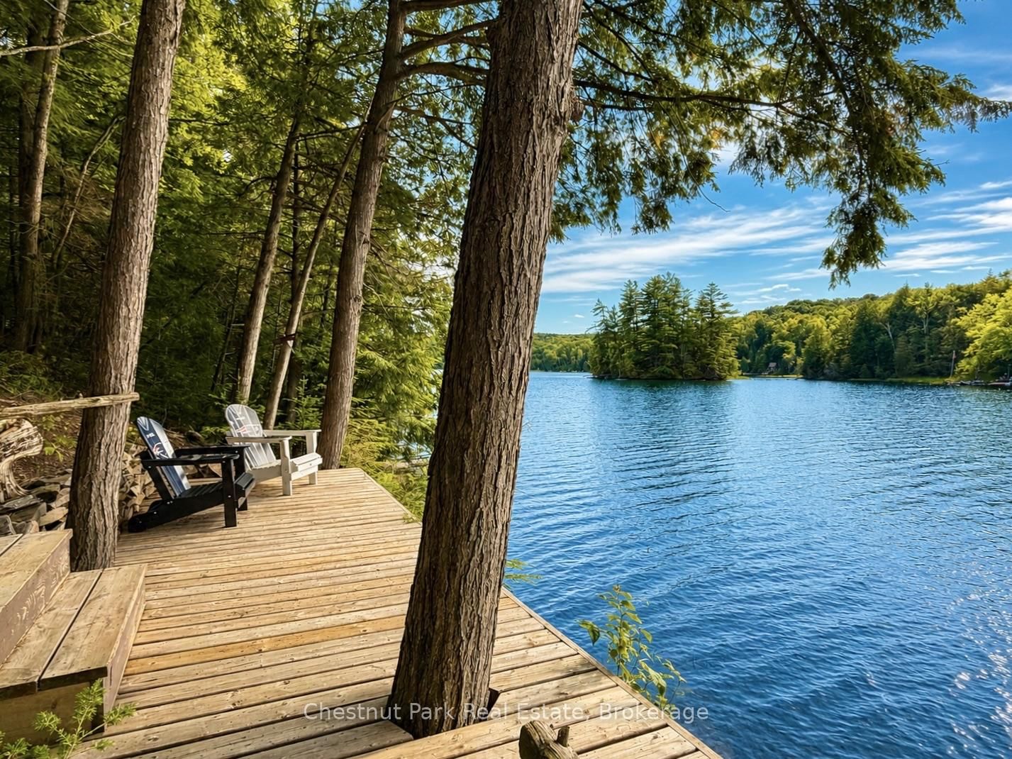 1304 Grandpa's Trail • Highlands East, ON photo 12