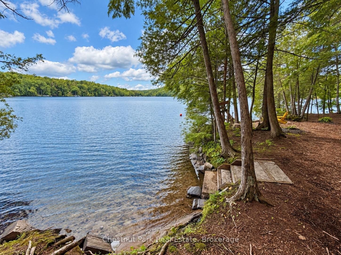1304 Grandpa's Trail • Highlands East, ON photo 13