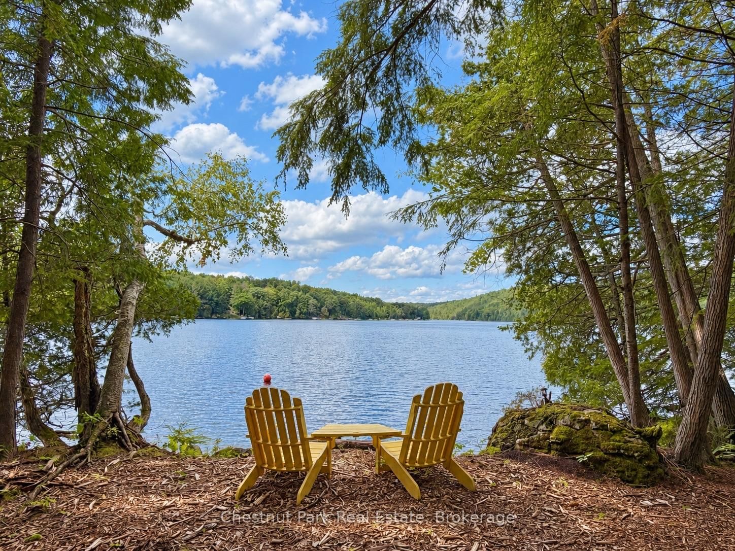 1304 Grandpa's Trail • Highlands East, ON photo 14
