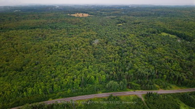 625 Highway 518 W • Perry, ON photo 7