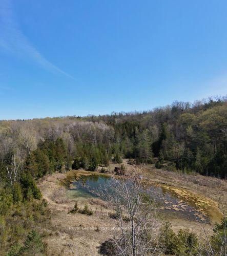 305 Valley Road • Prince Edward County, ON photo 47