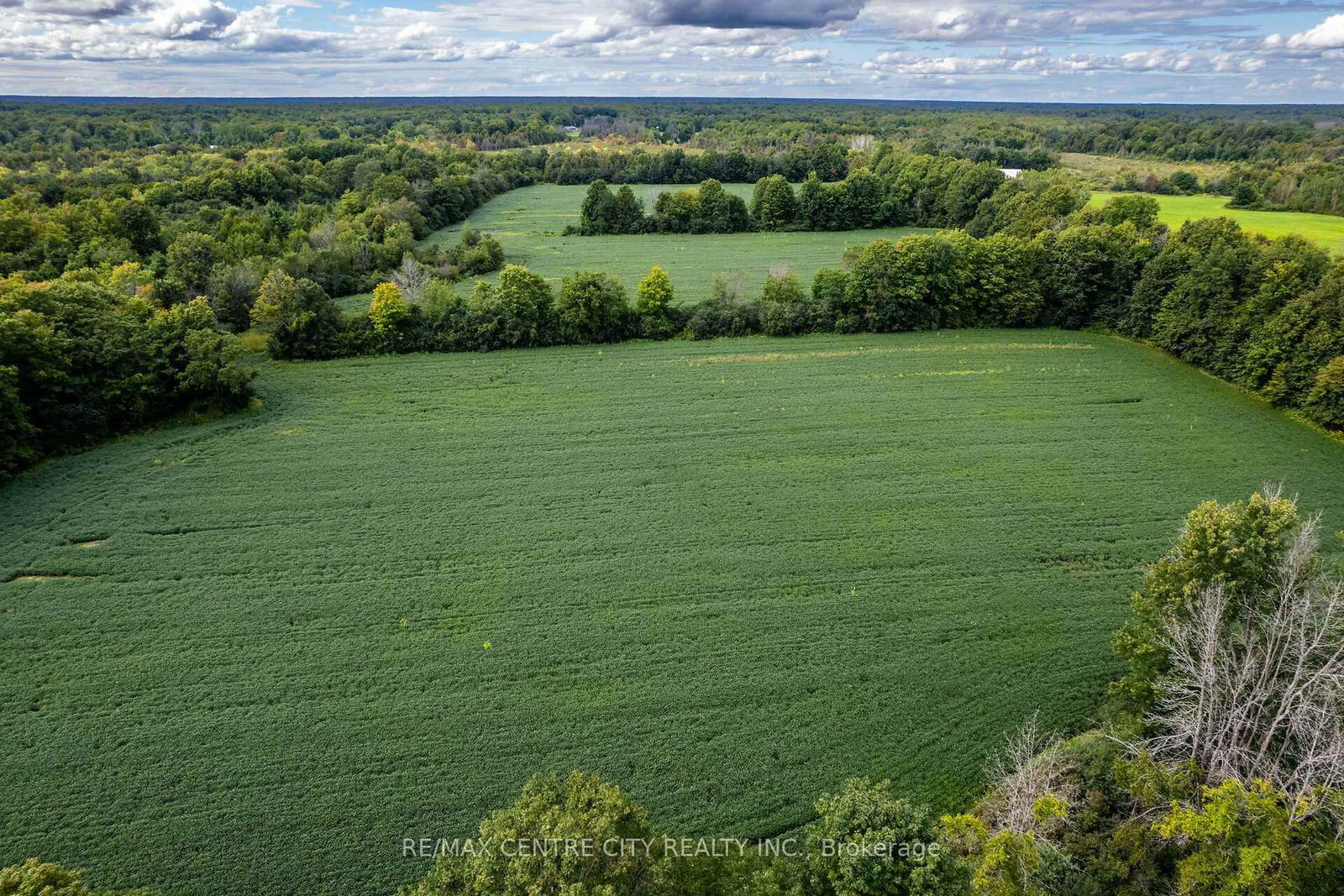 6628 Nash Side Road • Elizabethtown-Kitley, ON photo 11