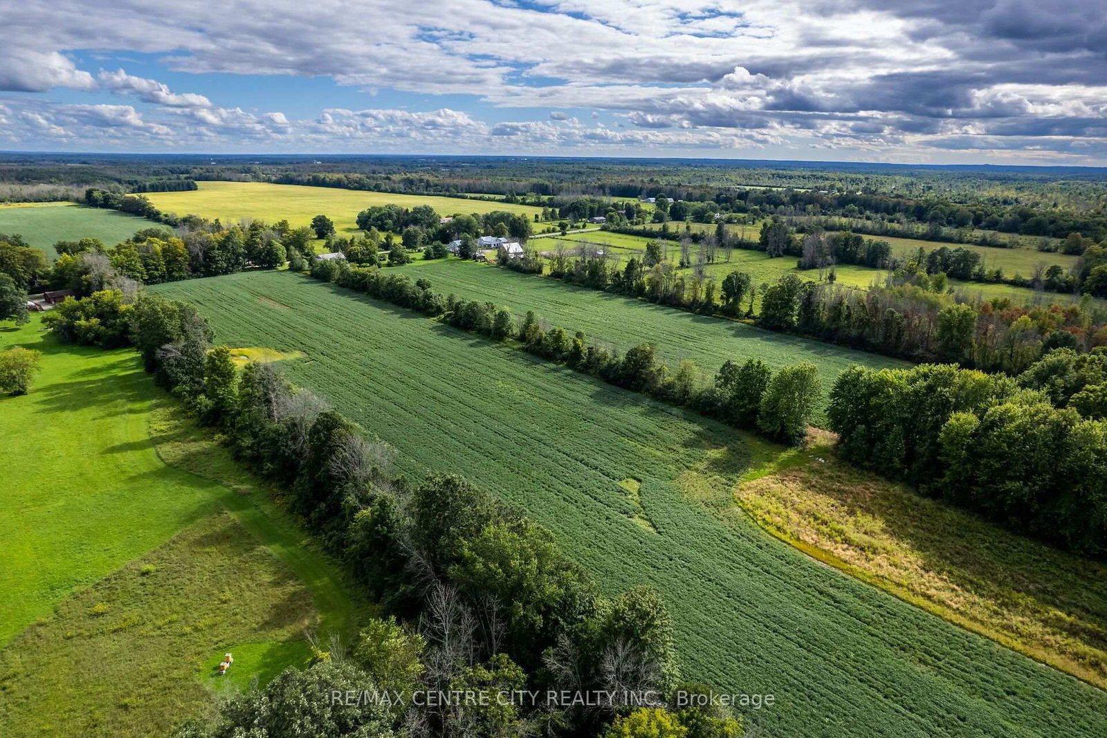 6628 Nash Side Road • Elizabethtown-Kitley, ON photo 3