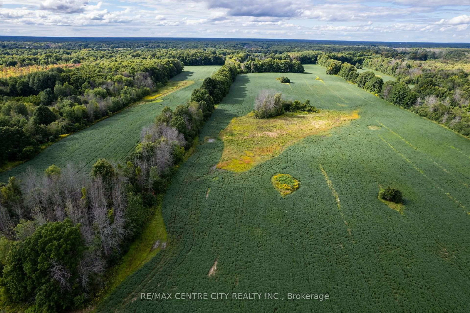 6628 Nash Side Road • Elizabethtown-Kitley, ON photo 5