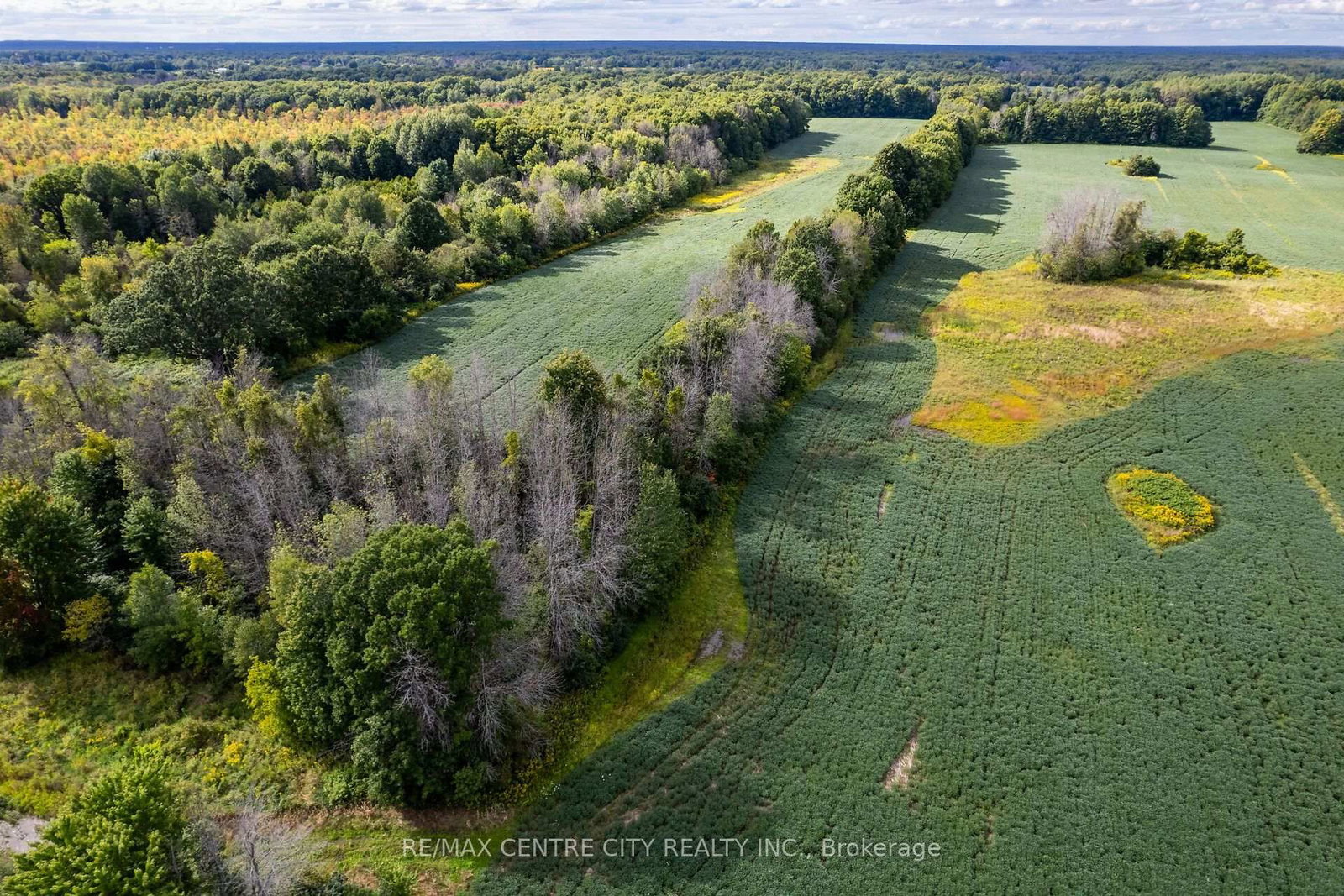 6628 Nash Side Road • Elizabethtown-Kitley, ON photo 6