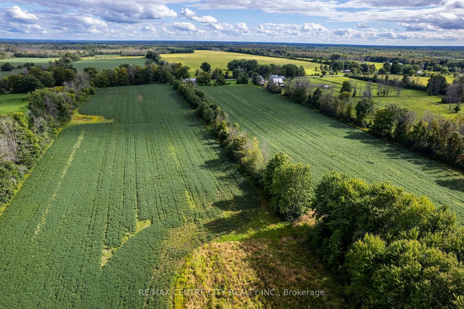 6628 Nash Side Road • Elizabethtown-Kitley, ON photo 7