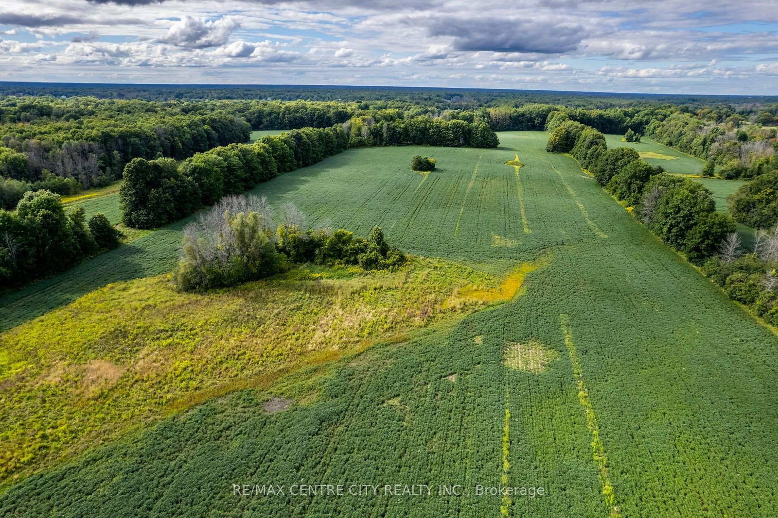 6628 Nash Side Road • Elizabethtown-Kitley, ON photo 8
