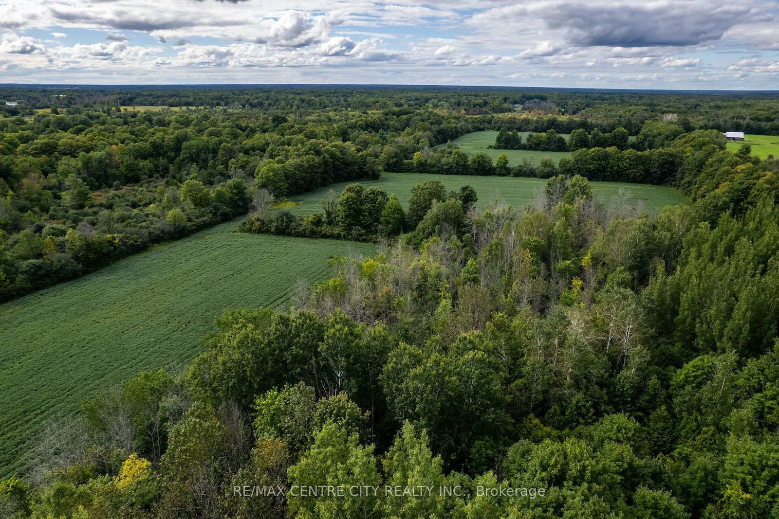 6628 Nash Side Road • Elizabethtown-Kitley, ON photo 9
