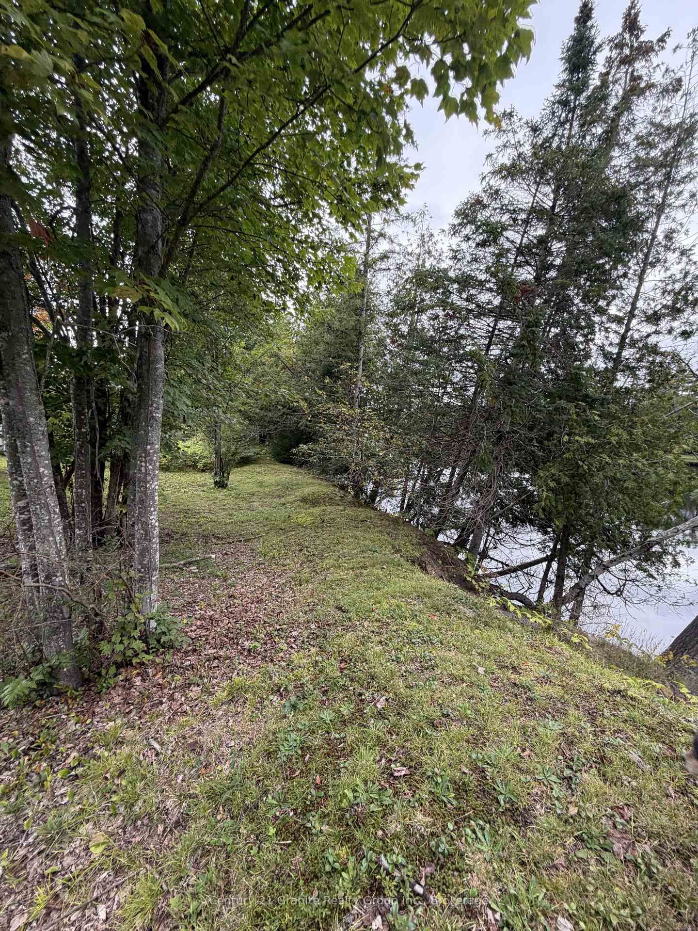 000 Evergreen Lane • Palmer Rapids, ON photo 16