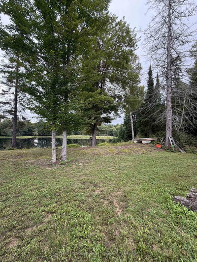 000 Evergreen Lane • Palmer Rapids, ON photo 3