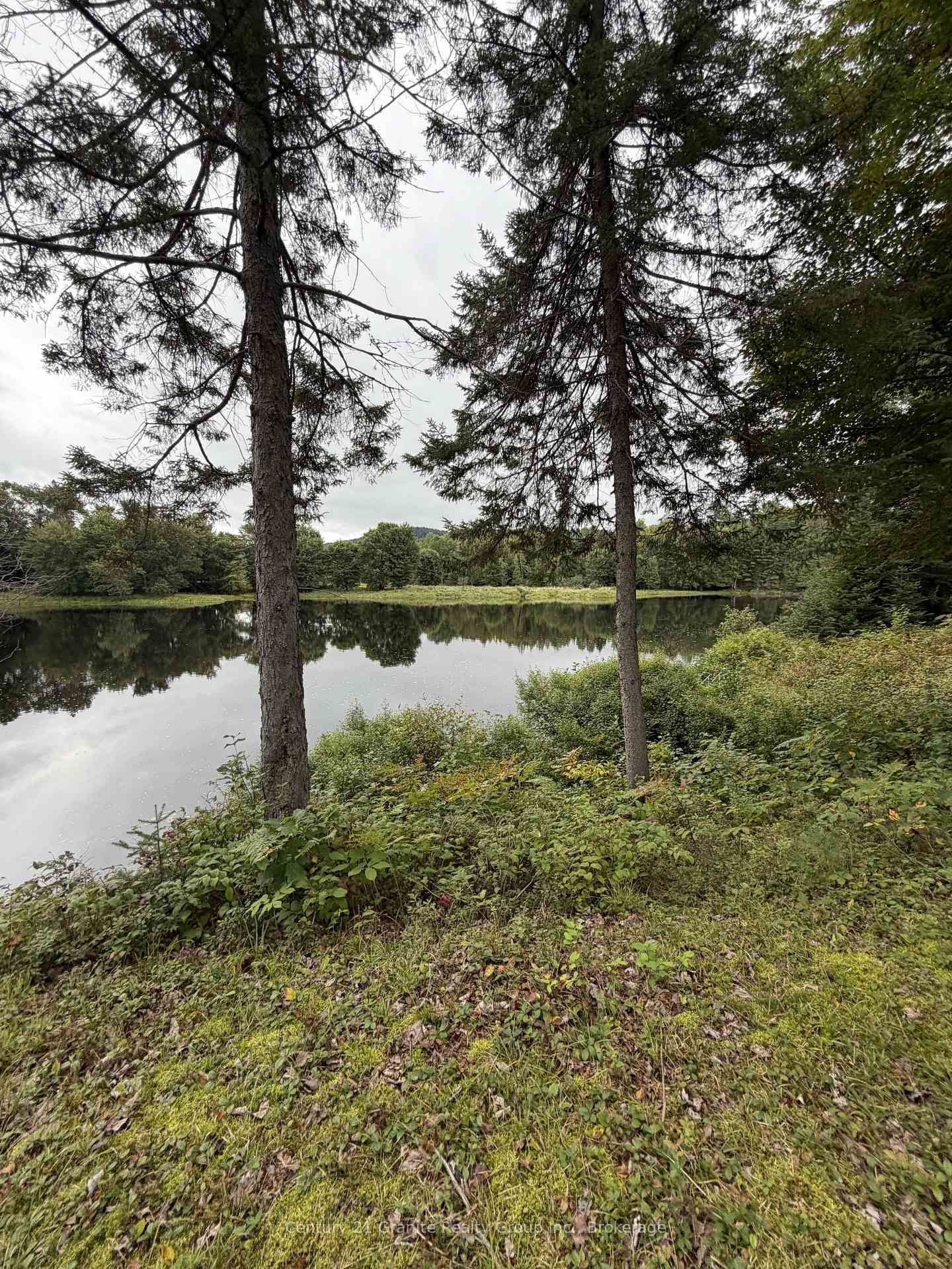 000 Evergreen Lane • Palmer Rapids, ON photo 4