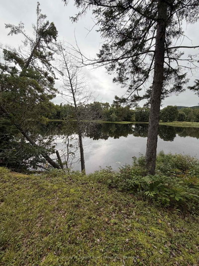 000 Evergreen Lane • Palmer Rapids, ON photo 5