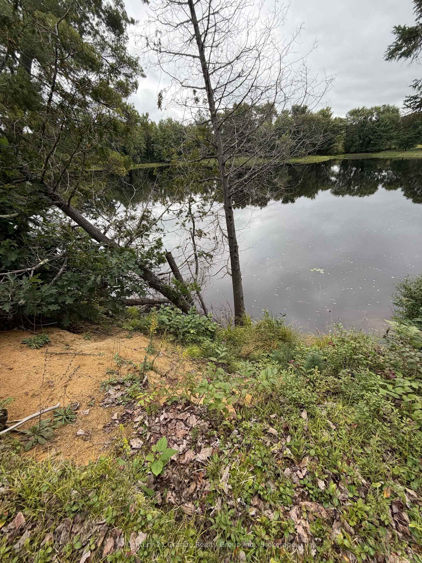 000 Evergreen Lane • Palmer Rapids, ON photo 6