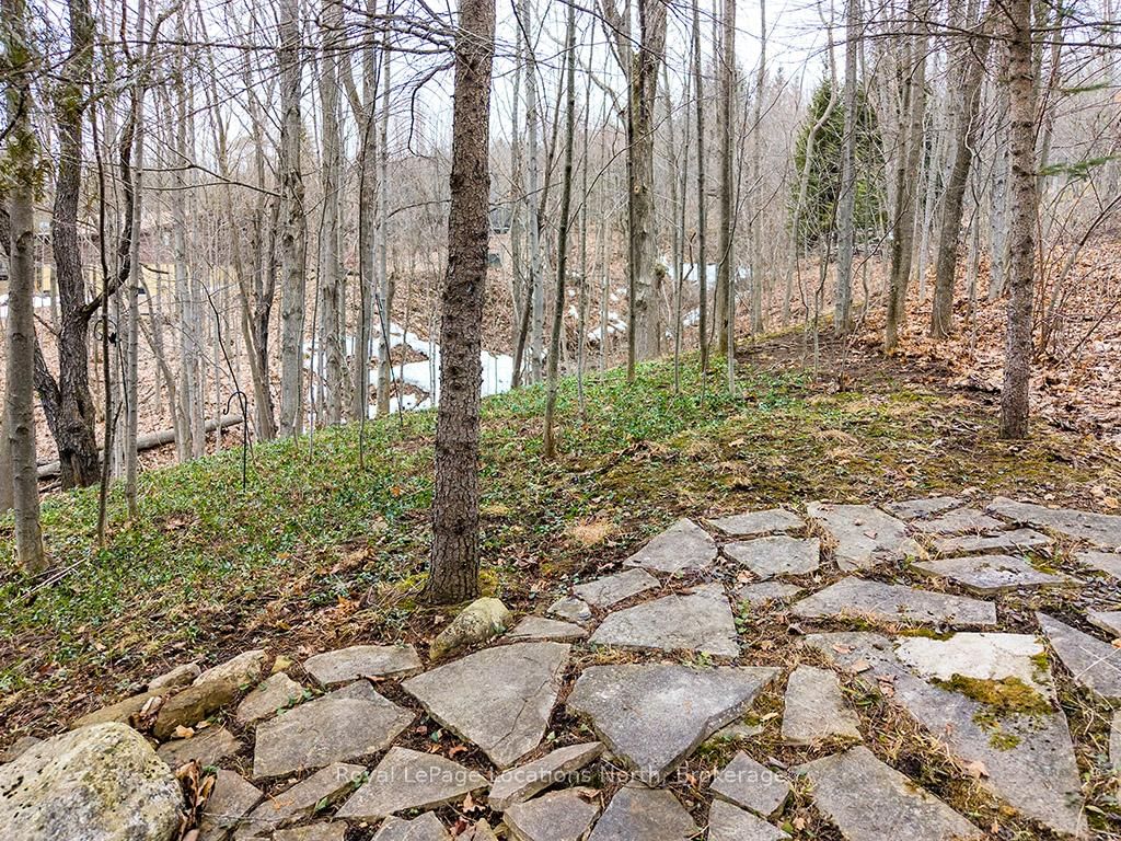 112 Amik Court • Grey Highlands, ON photo 30
