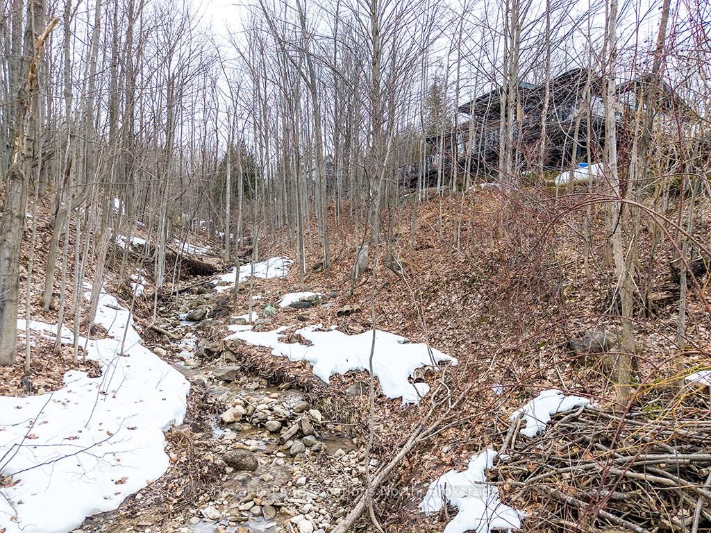 112 Amik Court • Grey Highlands, ON photo 41