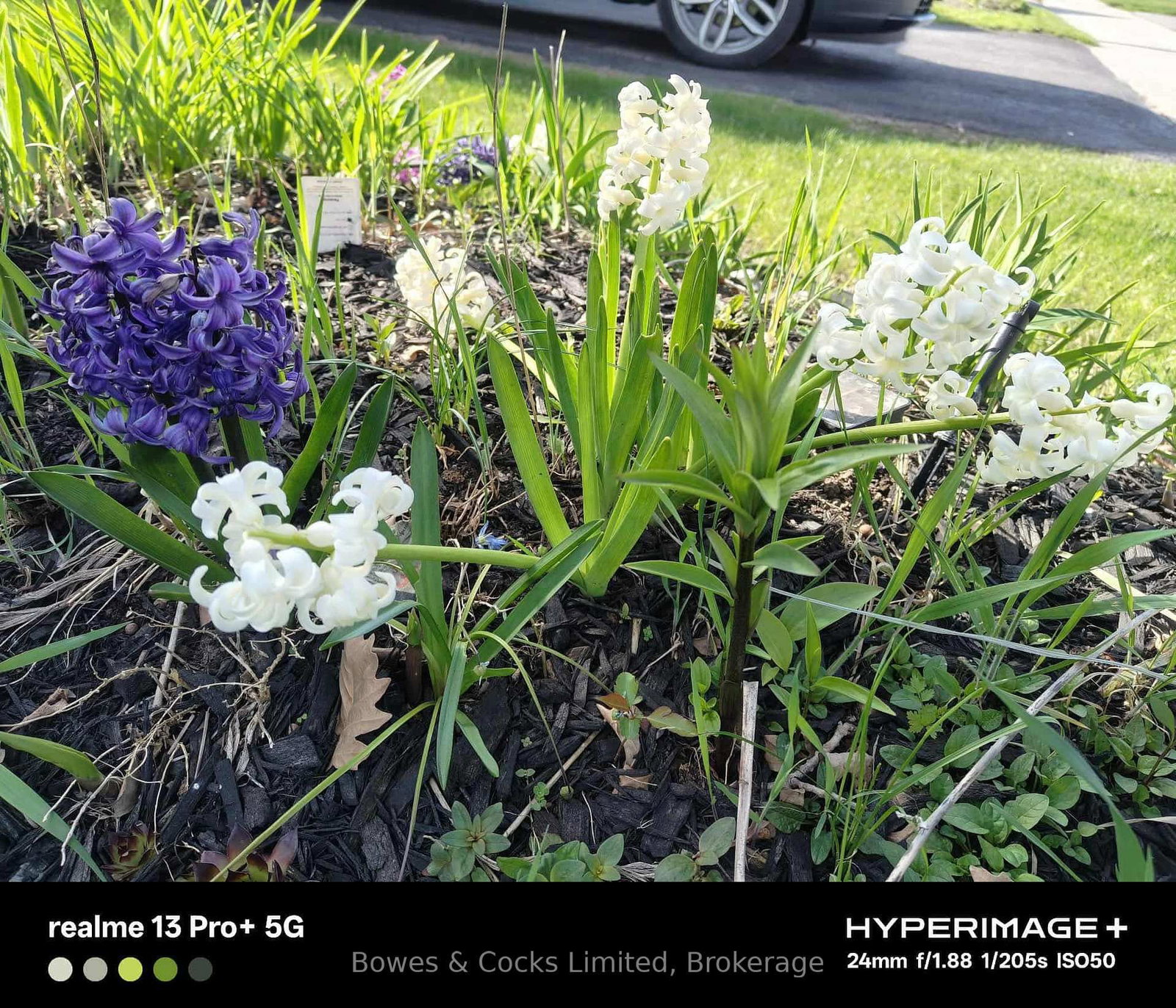210 Farrier Crescent • Peterborough, ON photo 47