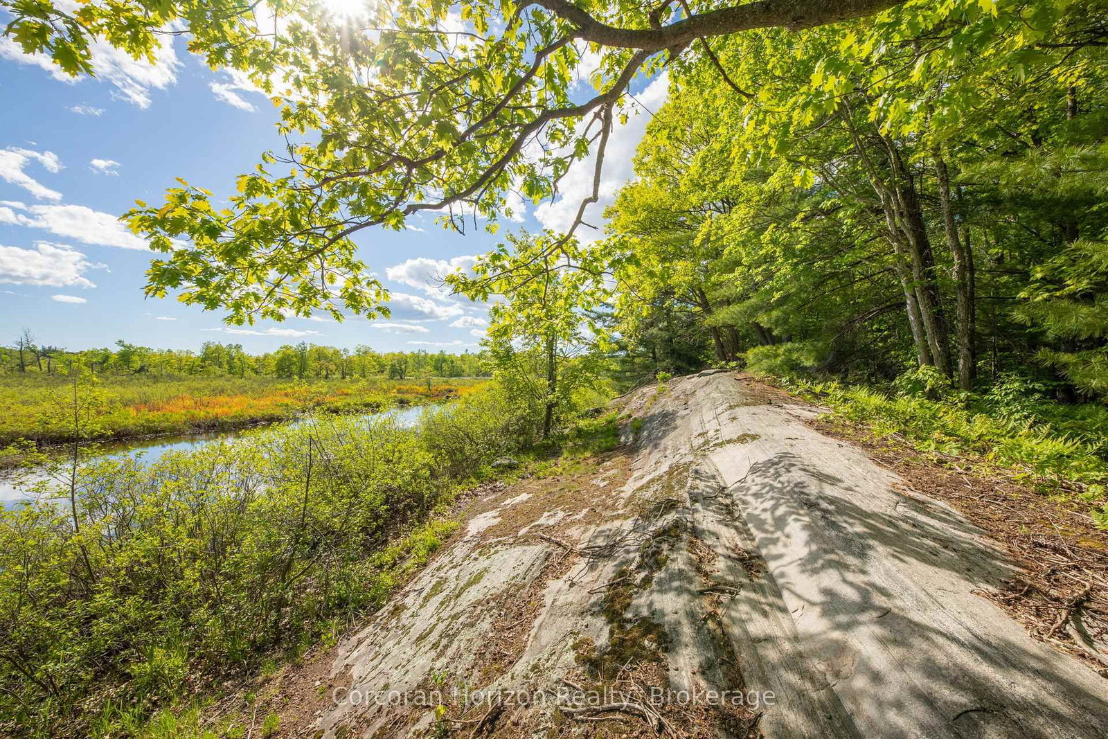 1020 Ridge Road • Muskoka Lakes, ON photo 10