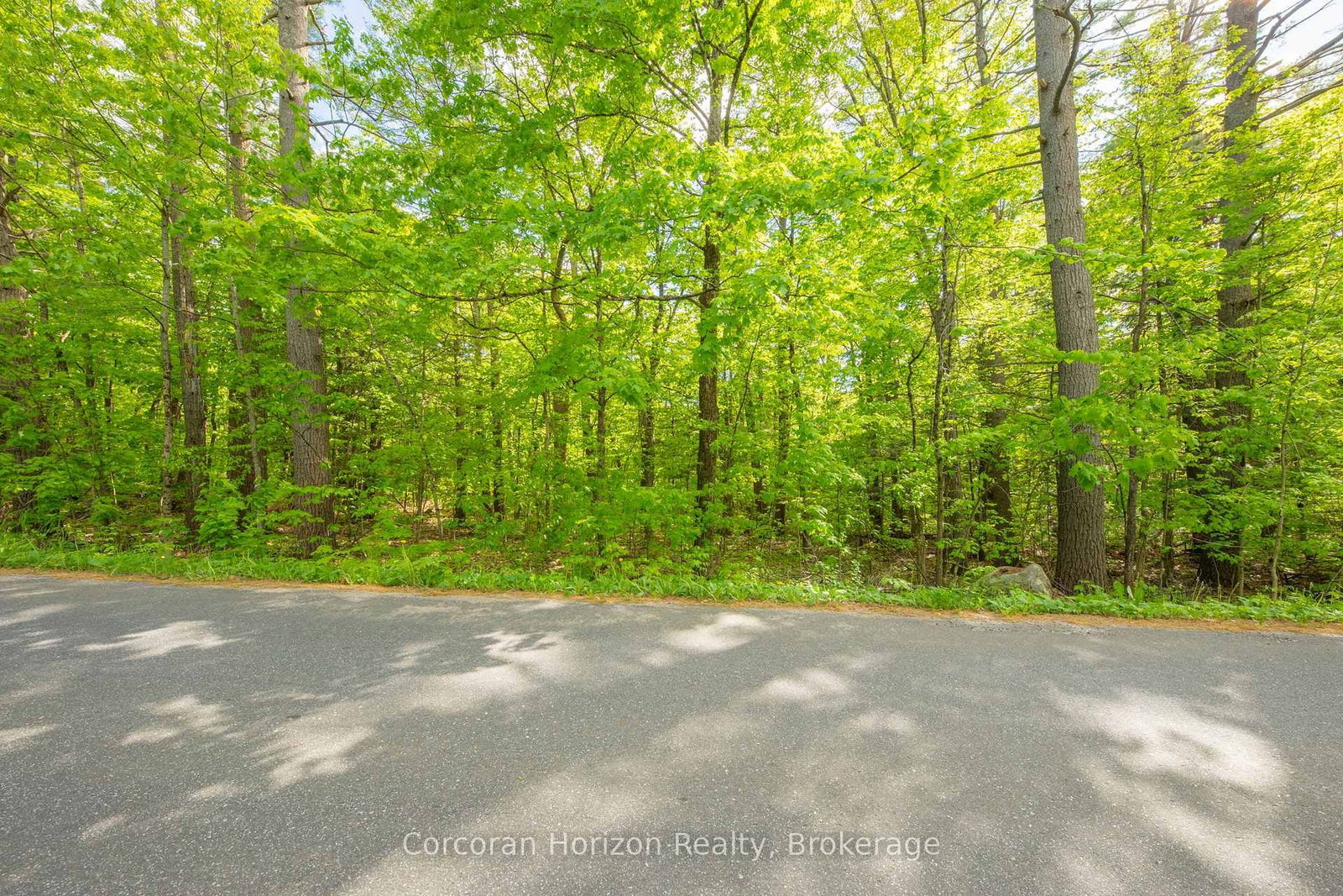 1020 Ridge Road • Muskoka Lakes, ON photo 14