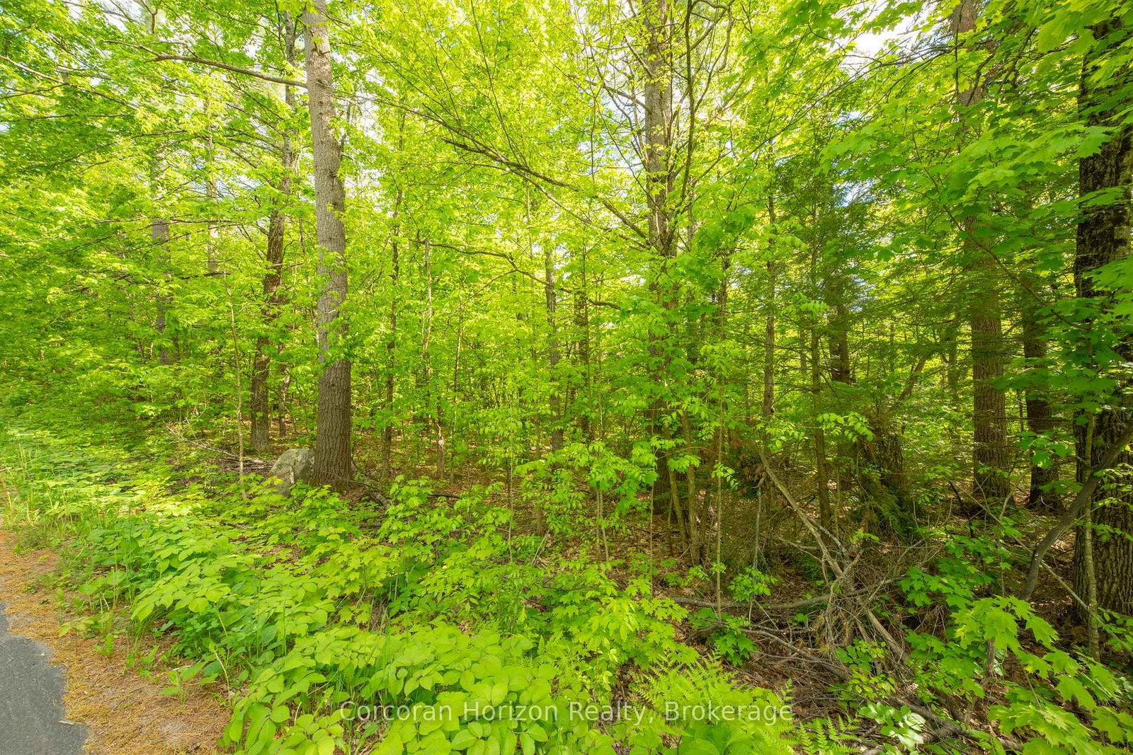 1020 Ridge Road • Muskoka Lakes, ON photo 16