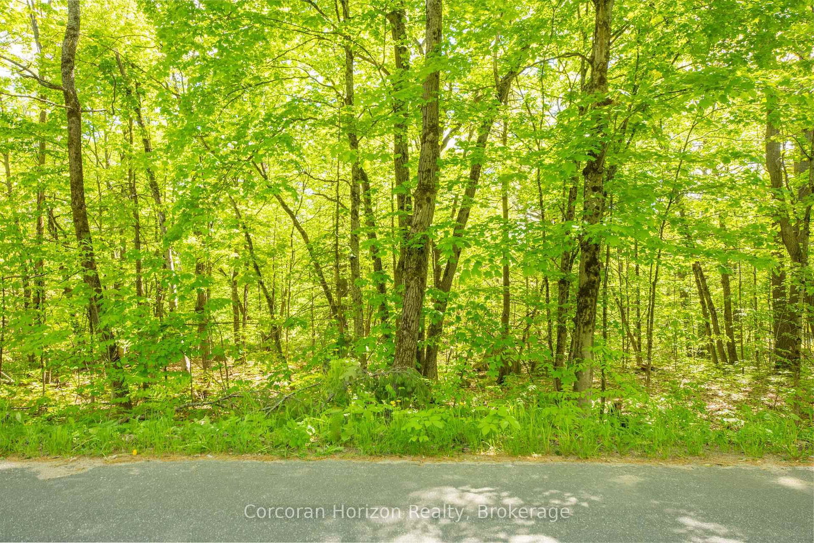 1020 Ridge Road • Muskoka Lakes, ON photo 17