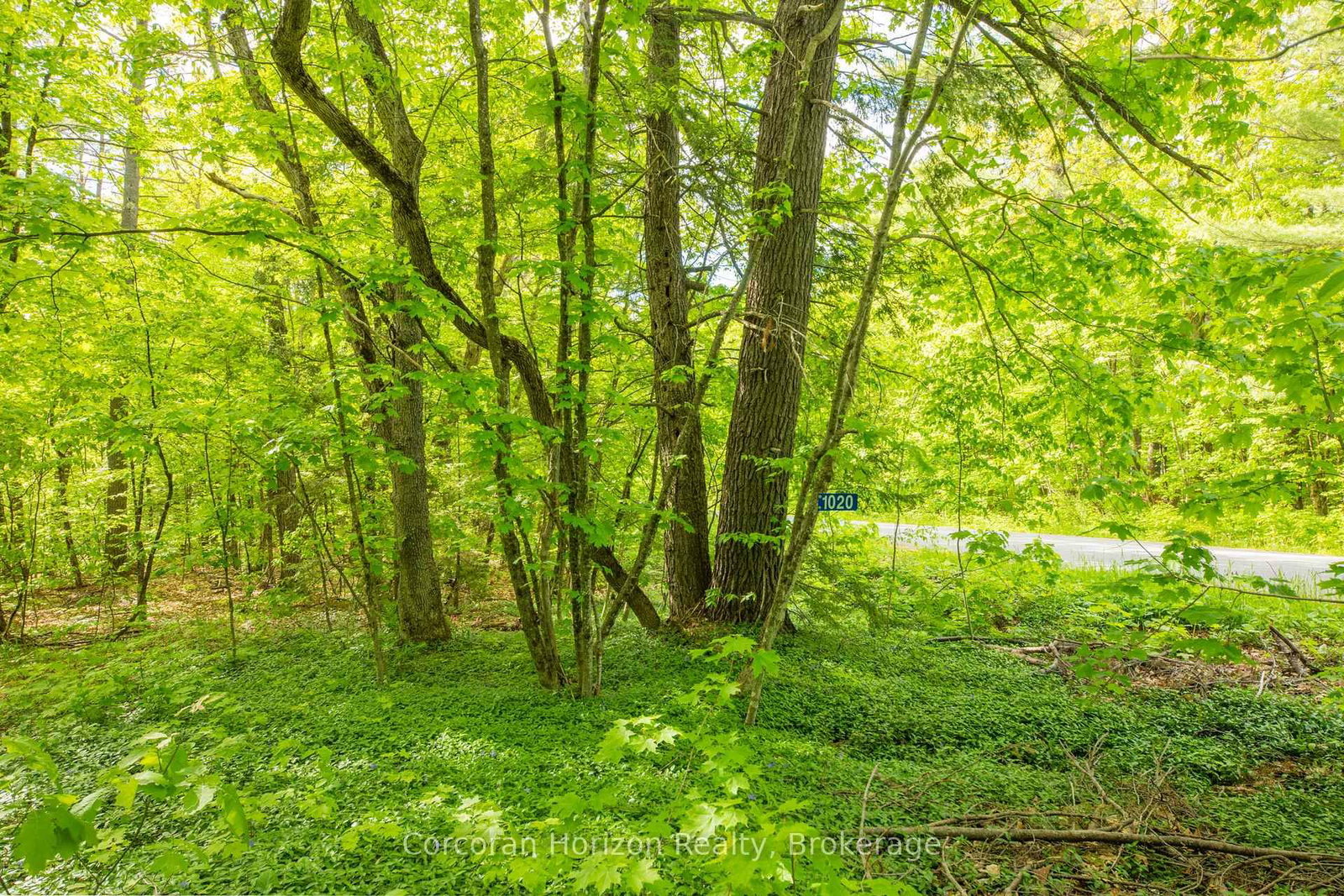 1020 Ridge Road • Muskoka Lakes, ON photo 19