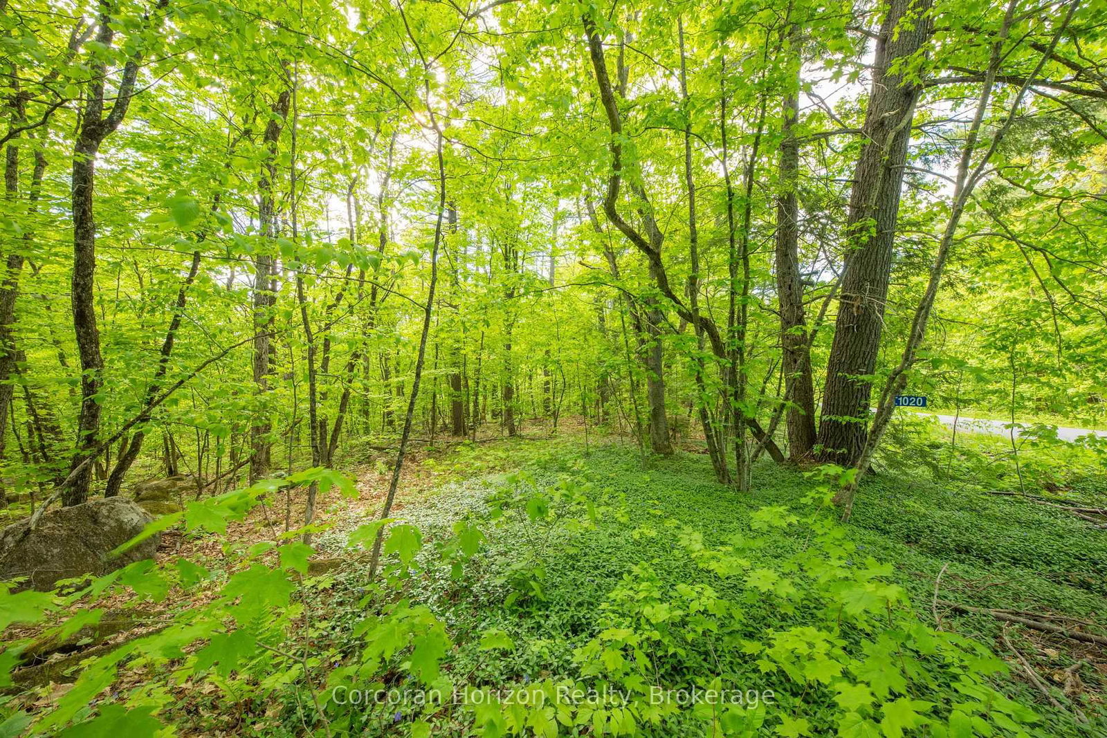 1020 Ridge Road • Muskoka Lakes, ON photo 20