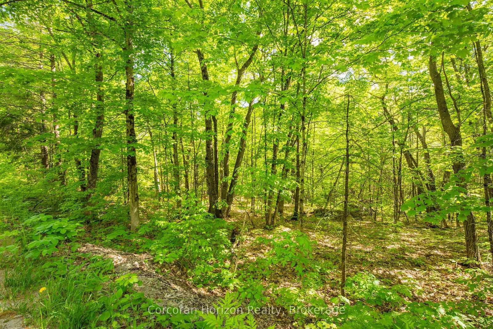 1020 Ridge Road • Muskoka Lakes, ON photo 23