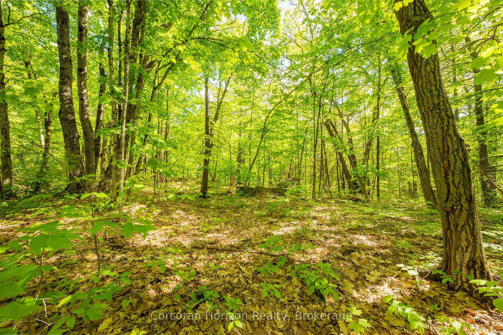 1020 Ridge Road • Muskoka Lakes, ON photo 24