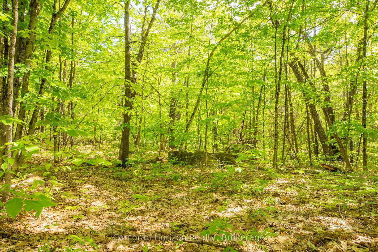 1020 Ridge Road • Muskoka Lakes, ON photo 25