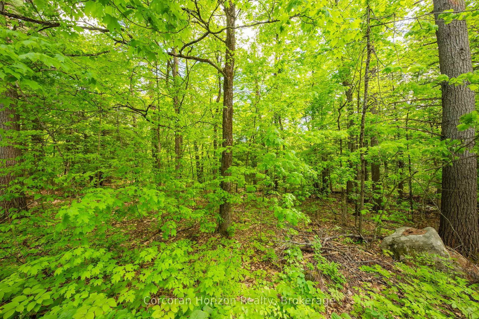 1020 Ridge Road • Muskoka Lakes, ON photo 26