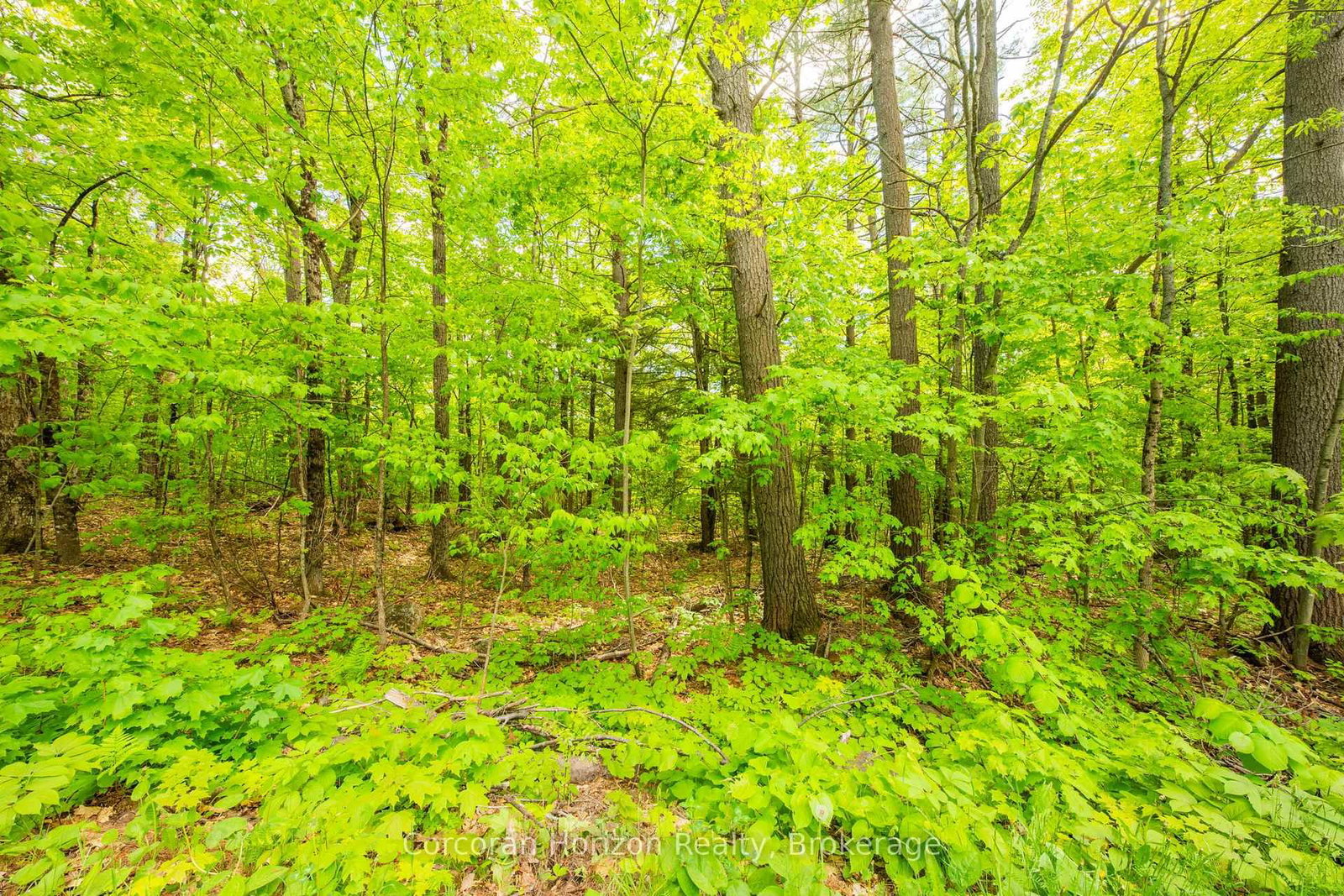 1020 Ridge Road • Muskoka Lakes, ON photo 27