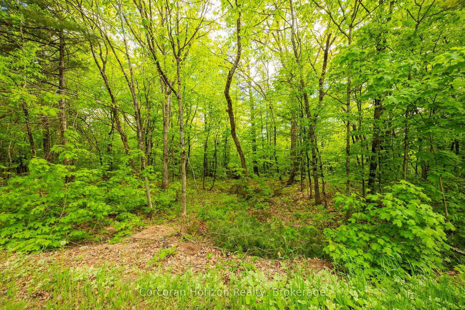 1020 Ridge Road • Muskoka Lakes, ON photo 29
