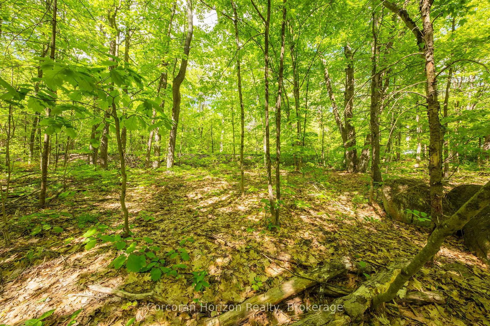 1020 Ridge Road • Muskoka Lakes, ON photo 31