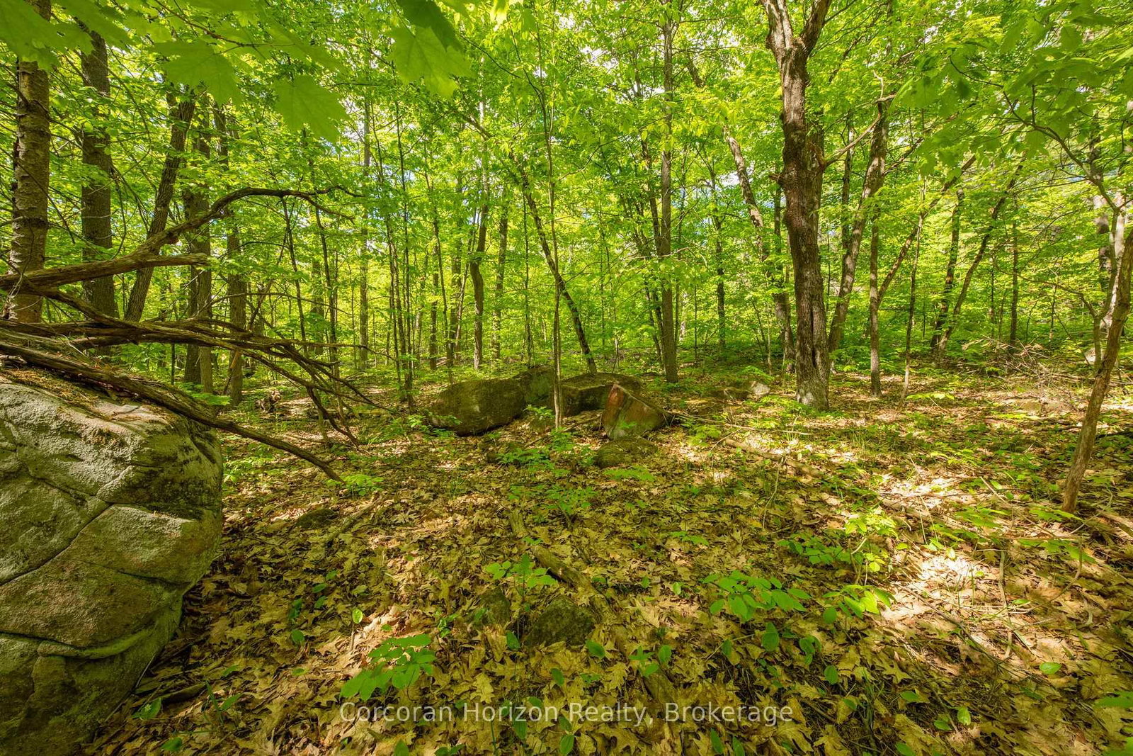 1020 Ridge Road • Muskoka Lakes, ON photo 34
