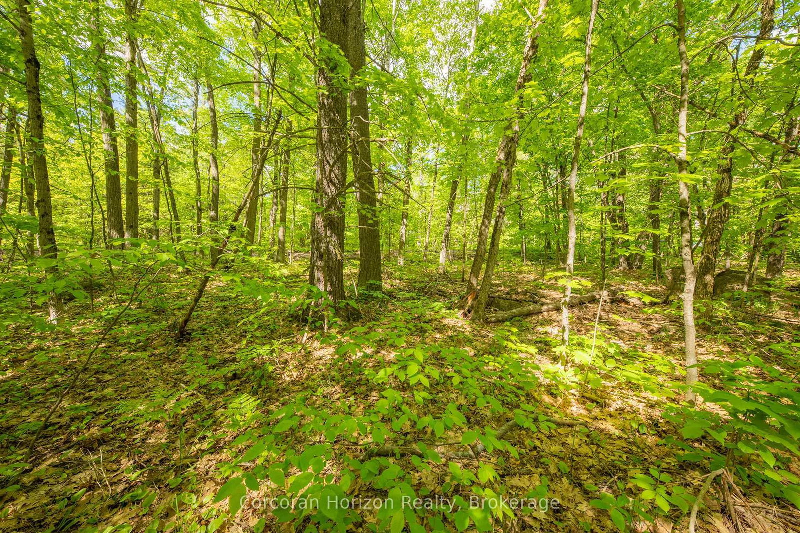 1020 Ridge Road • Muskoka Lakes, ON photo 35