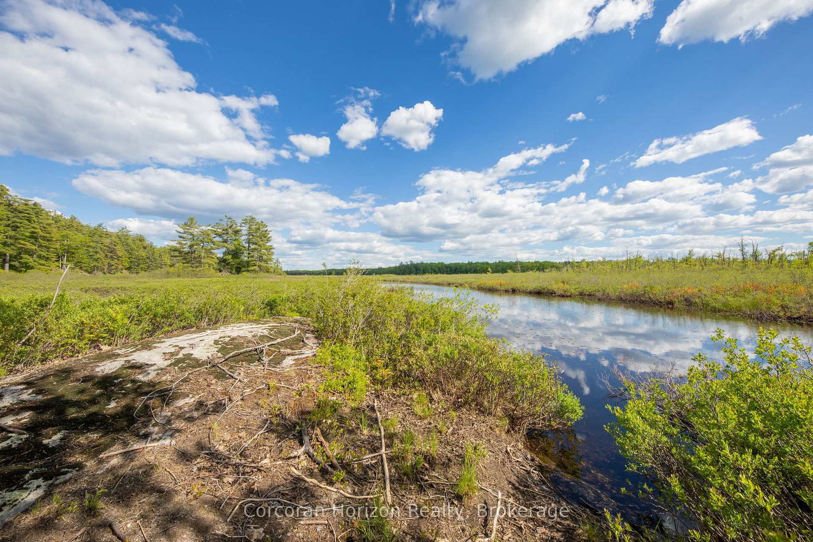 1020 Ridge Road • Muskoka Lakes, ON photo 5