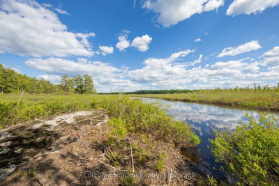 1020 Ridge Road • Muskoka Lakes, ON photo 5