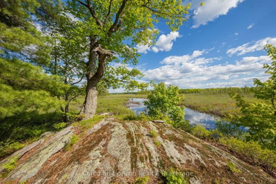 1020 Ridge Road • Muskoka Lakes, ON photo 8