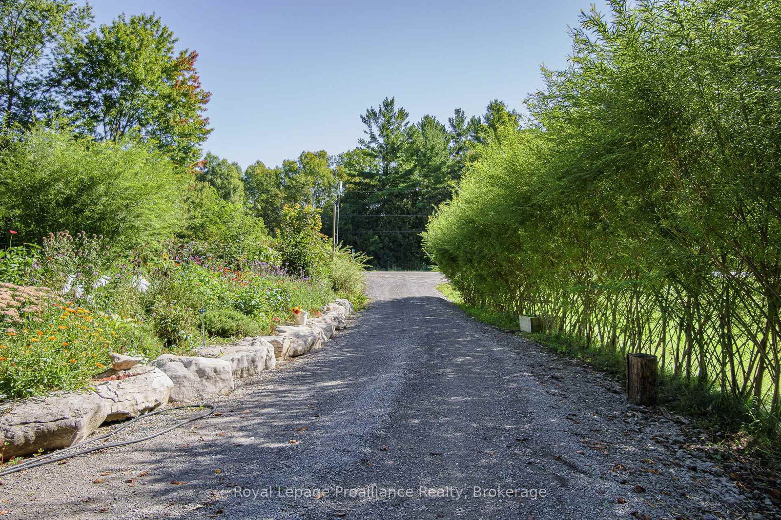 5097 Striling-Marmora Road • Stirling-Rawdon, ON photo 9