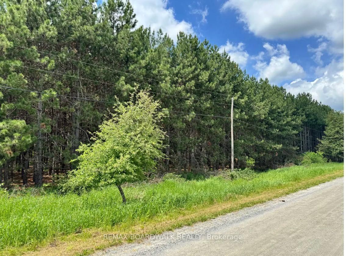 1161 Rosetta Road • Lanark, ON photo 1