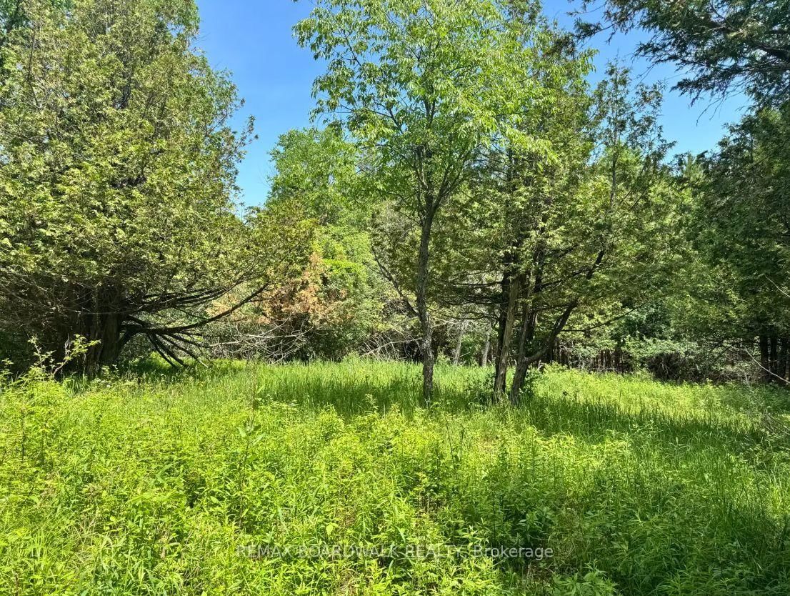 1161 Rosetta Road • Lanark, ON photo 10